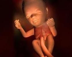 懷孕24周 懷孕24周