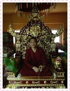 白瑪仁波切 白瑪仁波切