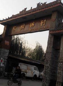 柳林村[山西省大同市陽高縣羅文皂鎮下轄村]