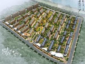 大樹花園 大樹花園