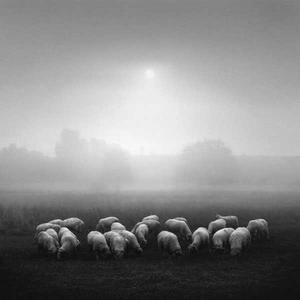 臆想[臆想釋義]