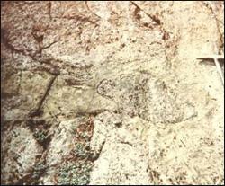 構造角礫岩 構造角礫岩