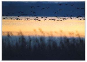 岱山湖旅遊度假區