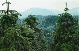 均福山森林公園 均福山森林公園