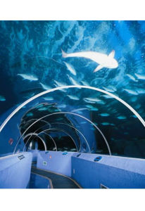 海底隧道 海底隧道