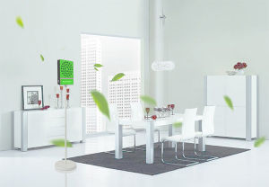 中國空氣負離子暨臭氧研究學會 中國空氣負離子暨臭氧研究學會