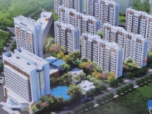 嶺秀金江 嶺秀金江