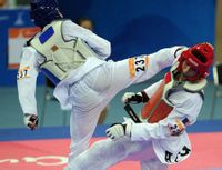 納比勒·哈桑 納比勒·哈桑