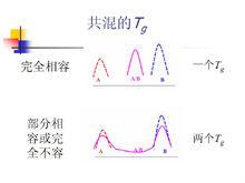 以Tg表征共混物相容性的示意圖