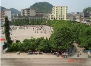 桑柘中學 桑柘中學