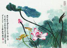 張大千--荷花圖