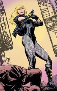 黑金絲雀 黑金絲雀