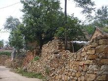 河南省汝州市九峰山森林公園