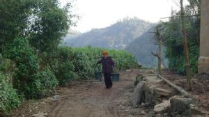 拉車自然村 拉車自然村