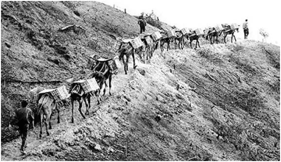 這3方面暴露日軍不足,太爛的交通,殘疾的工業及呆板的戰術?