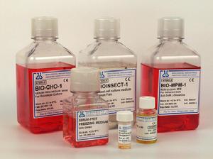 骨髓-胰腺綜合徵