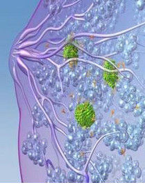 乳腺癌遺傳 乳腺癌遺傳