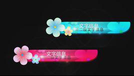 srt[文本格式字幕]