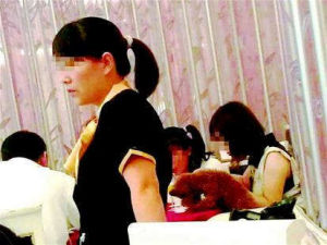 人狗同桌 人狗同桌