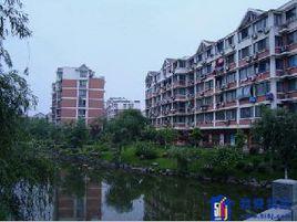 東新園社區 東新園社區