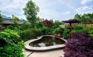 連江縣西溪溫泉森林公園 連江縣西溪溫泉森林公園