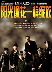 陽光像花一樣綻放[2006年汪俊執導電視劇]