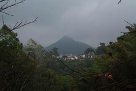 東坪村[雲南巧家縣下轄村]