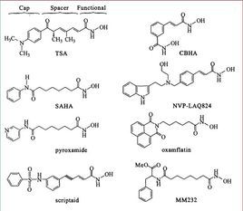 組蛋白去乙醯化酶抑制劑 組蛋白去乙醯化酶抑制劑