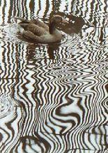 劉澤濤作品《波的鏇律》