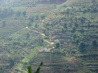 翁興自然村 翁興自然村