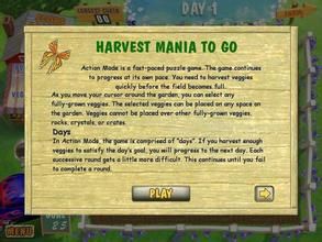 《蔬菜娃娃》 《蔬菜娃娃》