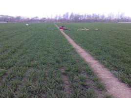 水坡村[河北省故城縣建國鎮水坡村]