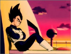 地球夕陽里的王子殿下