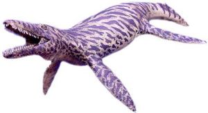 古多齒亞綱 古多齒亞綱