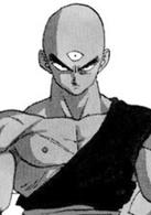 龍珠[日本1984年鳥山明創作的漫畫]