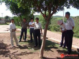 老懷哨村 老懷哨村