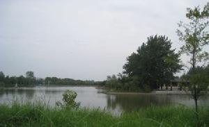 人類與自然最完美的和諧——走進石龍湖國家級濕地公園