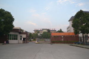 西門中學 西門中學