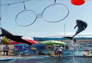 天涯熱帶海洋動物園