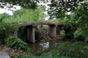 沈家自然村 沈家自然村