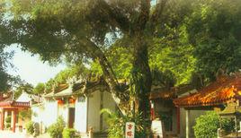 蓮池庵[河婆鎮蓮池庵]