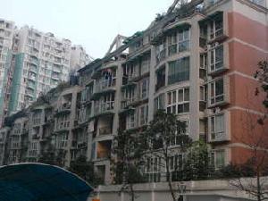 金魚村商住樓 金魚村商住樓