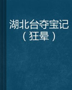 湖北台奪寶記