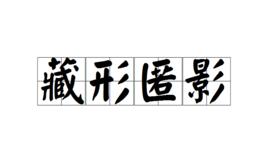 藏形匿影 藏形匿影