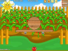 灌溉番茄 灌溉番茄