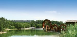 野生原度假村 野生原度假村