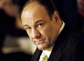 詹姆斯·甘多費尼 詹姆斯·甘多費尼