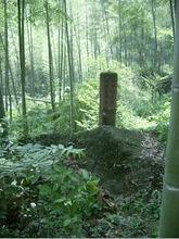 三口鎮[安徽黃山市黃山區轄鎮]