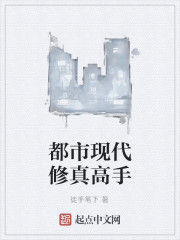 都市現代修真高手 都市現代修真高手