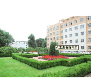 宣鋼分院 宣鋼分院